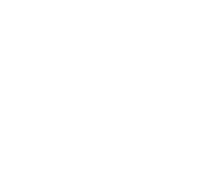 logo vitaalbelang